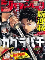 佐鸣同人漫画羁绊密码封面